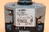 New | Schneider Electric | XD2 GA8411 |