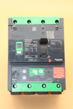 NEW | Schneider Electric | LV426215 |  